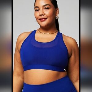 Fabletics Faye Sports Bra High Impact Blue Size 3X